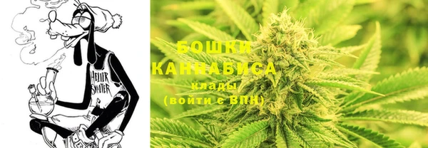 ГАЛЛЮЦИНОГЕННЫЕ ГРИБЫ Белокуриха