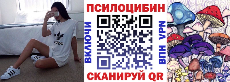 мега вход  Луховицы  Галлюциногенные грибы мицелий 