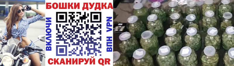 Конопля Amnesia  Луховицы 