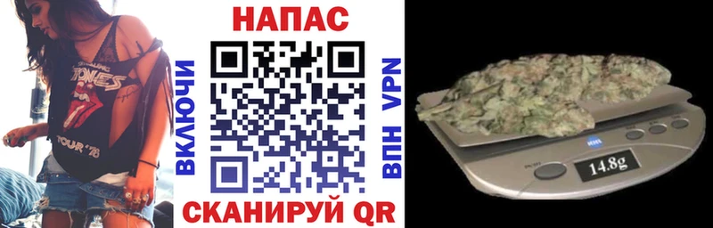 Бошки Шишки ГИДРОПОН Луховицы